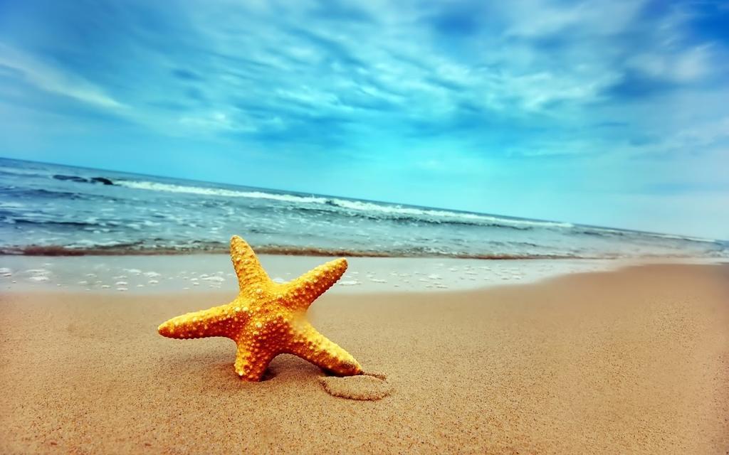 Home D'Or Cala D´Or Екстериор снимка